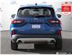 2023 Ford Escape Active (Stk: U3207) in Hamilton - Image 4 of 29
