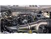 2025 Ford F-150 XLT (Stk: F1377) in Miramichi - Image 13 of 13