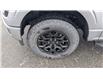 2025 Ford F-150 XLT (Stk: F1375) in Miramichi - Image 9 of 13