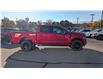 2025 Ford F-150 XLT (Stk: F1369) in Miramichi - Image 6 of 13