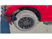2025 Ford F-150 XLT (Stk: F1369) in Miramichi - Image 9 of 13
