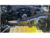 2025 Ford F-150 XLT (Stk: F1369) in Miramichi - Image 13 of 13
