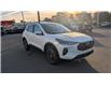 2026 Ford Escape PHEV (Stk: ES607) in Miramichi - Image 7 of 14