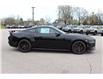 2024 Ford Mustang  (Stk: MU246) in Harrow - Image 4 of 19