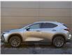 2026 Lexus NX 350 Base (Stk: NX4689) in Windsor - Image 4 of 27
