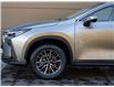 2026 Lexus NX 350 Base (Stk: NX4689) in Windsor - Image 3 of 27