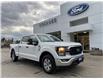 2023 Ford F-150 XLT (Stk: 23T813A) in CRESTON - Image 1 of 24