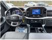 2023 Ford F-150 XLT (Stk: 23T813A) in CRESTON - Image 13 of 24