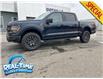 2025 Ford F-150 Tremor (Stk: 25147) in High River - Image 1 of 19