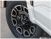 2026 Ford F-250 Platinum (Stk: XFQ059) in Sarnia - Image 8 of 25