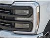 2026 Ford F-250 Platinum (Stk: XFQ059) in Sarnia - Image 10 of 25