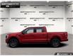 2023 Ford F-150 XLT (Stk: P11705) in Brantford - Image 3 of 22