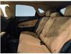 2026 Lexus NX 350 Base (Stk: 14111094) in Markham - Image 13 of 14 2026 Lexus NX 350 Base (Stk: 14111094) in Markham - Image 13 of 14