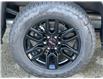 2025 GMC Sierra 1500 Elevation (Stk: 25T160) in Port Alberni - Image 12 of 29