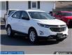 2019 Chevrolet Equinox LS (Stk: U6044) in Leamington - Image 8 of 31