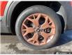 2023 Kia Seltos EX (Stk: 2917-25A) in Sault Ste. Marie - Image 6 of 23