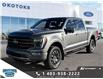2023 Ford F-150 Tremor (Stk: SK-204A) in Okotoks - Image 1 of 25