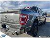 2023 Ford F-150 Tremor (Stk: SK-204A) in Okotoks - Image 11 of 25