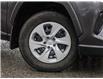 2024 Toyota RAV4 LE (Stk: 6426) in Welland - Image 25 of 25