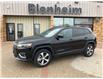 2022 Jeep Cherokee Limited (Stk: 6T11A) in Blenheim - Image 1 of 17