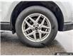 2023 Ford Edge SEL (Stk: 5707A) in Vanderhoof - Image 6 of 21