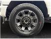 2026 Ford F-250  (Stk: 15242) in Golden - Image 16 of 17