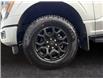 2025 Ford F-150 XLT (Stk: 15238) in Golden - Image 16 of 17