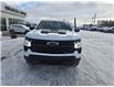 2024 Chevrolet Silverado 1500 LT Trail Boss (Stk: 25T168A) in Wadena - Image 3 of 16