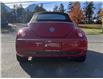 2010 Volkswagen New Beetle 2.5L Comfortline (Stk: 6T161B) in Hope - Image 4 of 13