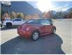 2010 Volkswagen New Beetle 2.5L Comfortline (Stk: 6T161B) in Hope - Image 5 of 13