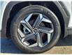 2022 Hyundai Tucson Hybrid Luxury (Stk: 2504151) in Regina - Image 7 of 40