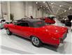 1967 Chevrolet Chevelle SS 427 (Stk: 102776) in Watford - Image 16 of 46