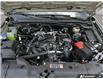 2025 Ford Ranger XL (Stk: FH381) in Sault Ste. Marie - Image 6 of 26