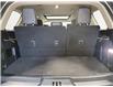 2021 Ford Expedition Platinum (Stk: 16916-1) in Wyoming - Image 15 of 15