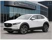 2025 Mazda CX-30 GS (Stk: 14467) in Ottawa - Image 1 of 23