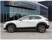 2025 Mazda CX-30 GS (Stk: 15006) in Ottawa - Image 3 of 23
