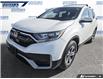 2022 Honda CR-V LX (Stk: P8783) in Dartmouth - Image 6 of 24