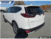 2022 Honda CR-V LX (Stk: P8783) in Dartmouth - Image 8 of 24