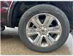 2020 Ford F-150  (Stk: U6677) in Woodstock - Image 13 of 13