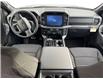 2025 Ford F-150 XLT (Stk: 15229) in Golden - Image 11 of 17