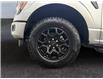 2025 Ford F-150 XLT (Stk: 15229) in Golden - Image 16 of 17