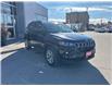 2026 Jeep Compass North (Stk: M22903) in Newmarket - Image 1 of 14