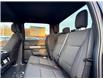 2025 Ford F-150 XLT (Stk: FS56901) in Windsor - Image 11 of 26
