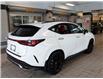 2026 Lexus NX 350 Base (Stk: 6931) in Kingston - Image 7 of 15