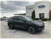 2026 Ford Escape Platinum (Stk: SPEP00681) in Leamington - Image 6 of 36