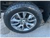 2021 Chevrolet Silverado 1500 RST (Stk: 260163A) in Ottawa - Image 4 of 29