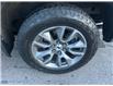 2021 Chevrolet Silverado 1500 RST (Stk: 260163A) in Ottawa - Image 29 of 29