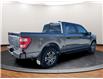 2023 Ford F-150 XL (Stk: E97747) in Lower Sackville - Image 7 of 25