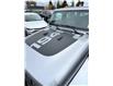 2020 Jeep Gladiator Overland (Stk: 251437) in Ottawa - Image 22 of 24