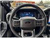2025 Ford F-150 XLT (Stk: 25T7214) in Red Deer - Image 13 of 24